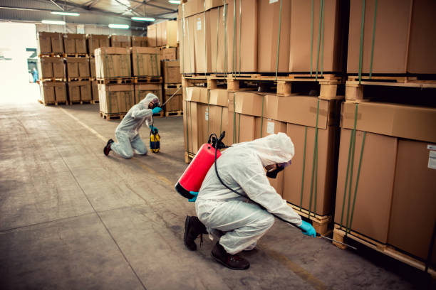 Best Pest Prevention Services  in Bronx, NY