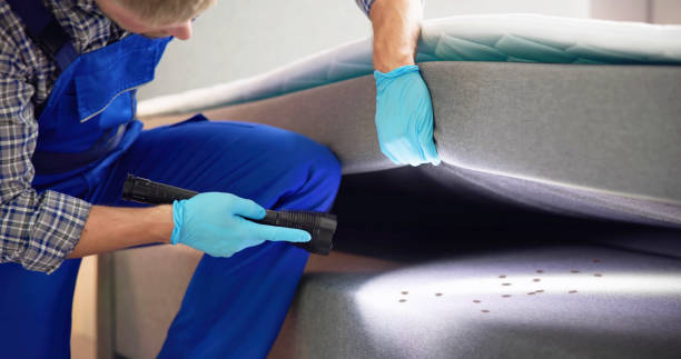 Best Bed Bug Extermination  in Bronx, NY