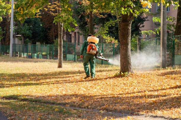 Best Pest Inspection Near Me  in Bronx, NY