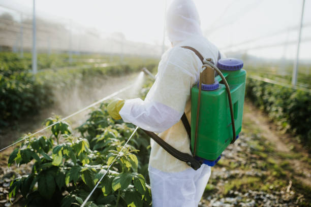 Best Mosquito Control Services  in Bronx, NY